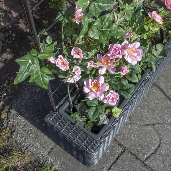 Wicker Planter with Trellis, black